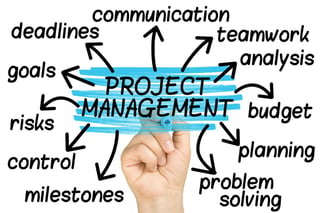 new-website-project-management-dubai.jpg