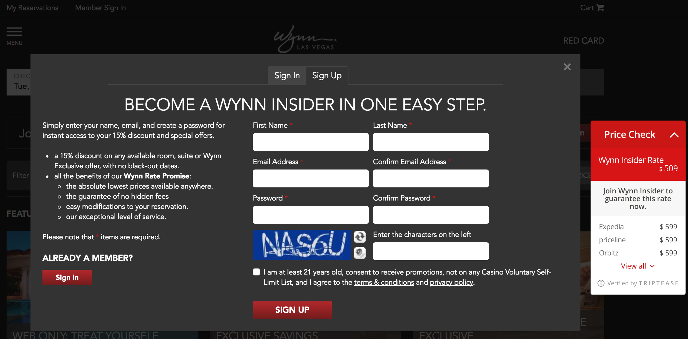 Wynn Digital Marketing Strategy 