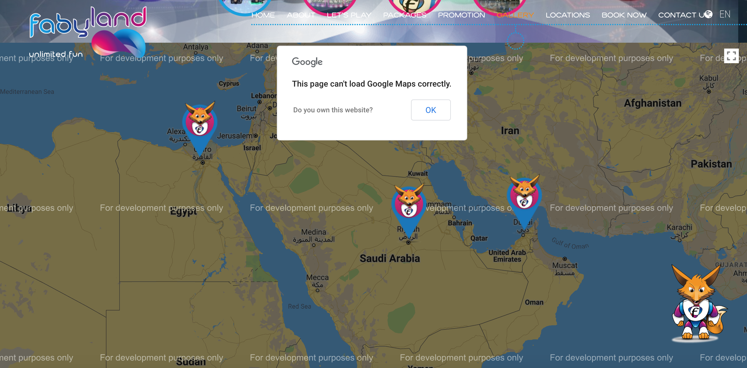 Google Map Website